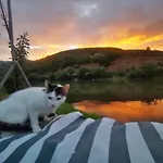 Prenociste Na Drini Фоча