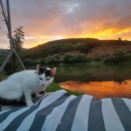 Prenociste Na Drini Foca